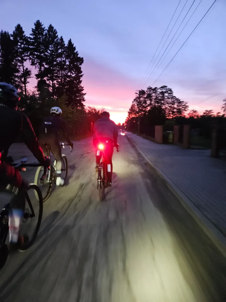 Garmin Varia RTL 515