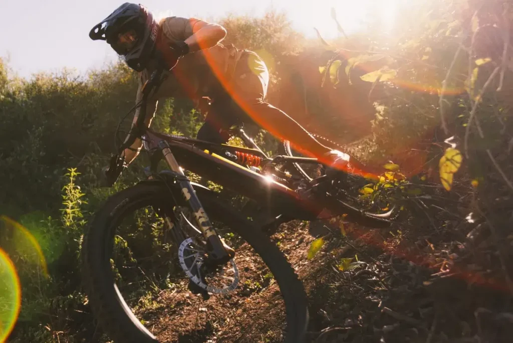 Nowy FOX 38 na sezon 2026